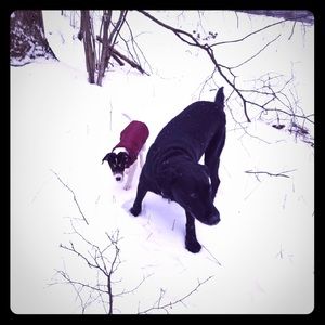 Meet your Posher, Madison